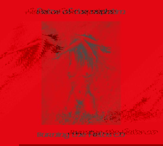 Cover for Fields of the Nephilim · Burning the Fields (CD) (2025)