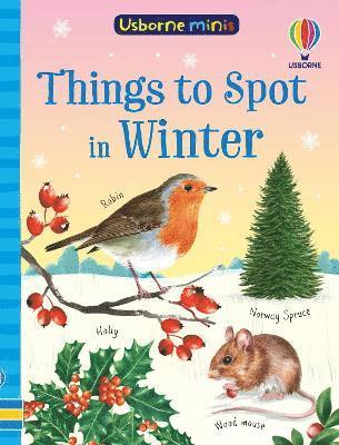 Cover for Simon Tudhope · Things to Spot in Winter - Usborne Minis (Taschenbuch) (2025)