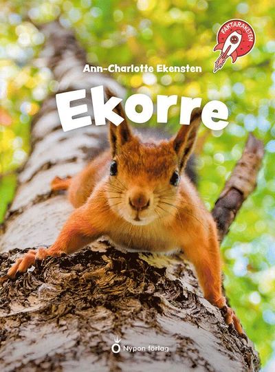 Cover for Ann-Charlotte Ekensten · Ekorre (Hardcover Book) [Ned edition] (2025)