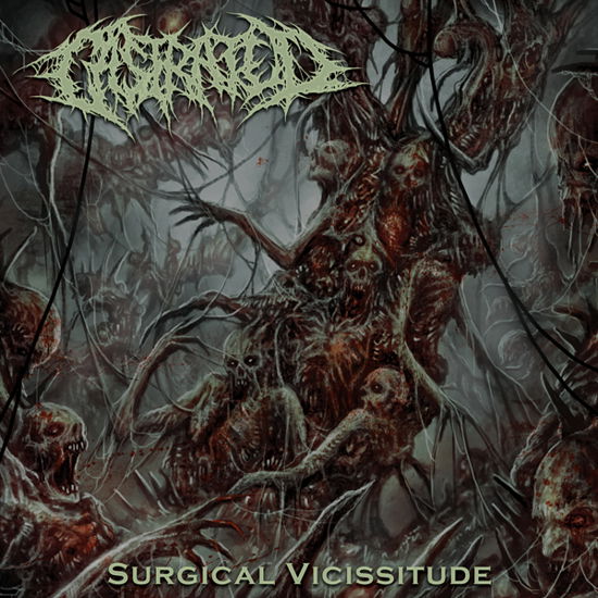 Castrated · Surgical Vicissitude (CD) (2024)
