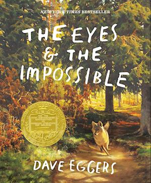 Cover for Dave Eggers · The Eyes And The Impossible (Bog) (2025)