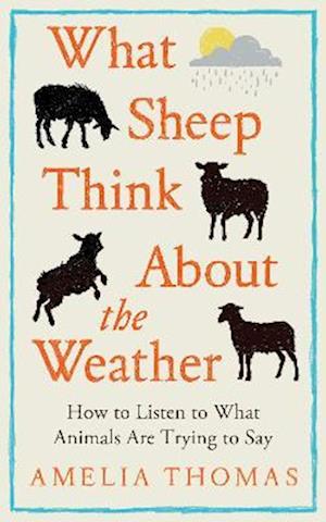 Cover for Amelia Thomas · What Sheep Think About the Weather: How to listen to what animals are trying to say (Hardcover Book) (2025)