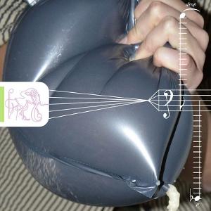 Cover for Gróa · Drop P (CD) (2025)