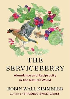 Cover for Robin Wall Kimmerer · The Serviceberry: Abundance and Reciprocity in the Natural World (Inbunden Bok) (2024)