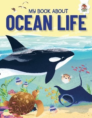 Cover for Eliza Jeffery · Young Adventurers: My Book About Ocean Life - Young Adventurers (Paperback Book) (2025)