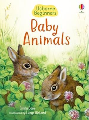 Baby Animals - Emily Bone - Books - - 9781835405246 - February 4, 2025