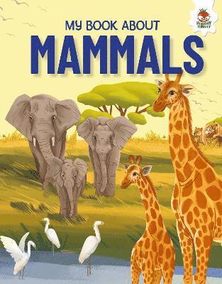 Cover for Eliza Jeffery · Young Adventurers: My Book About Mammals - Young Adventurers (Paperback Book) (2025)