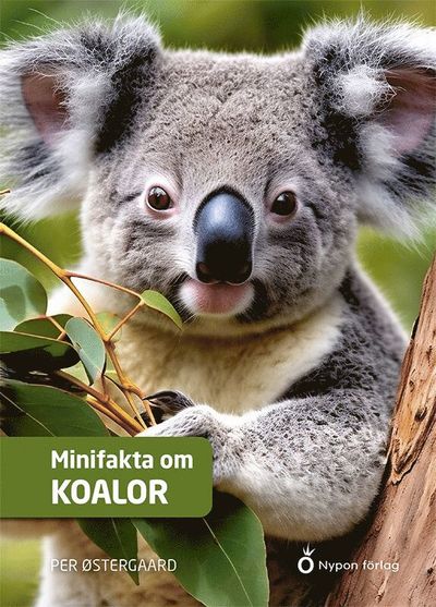 Cover for Per Østergaard · Minifakta om koalor (Hardcover Book) [Ned edition] (2025)