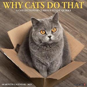Cover for Willow Creek Press · Why Cats Do That 2026 12 X 12 Wall Calendar (Buch) (2025)
