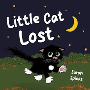 Cover for Sarah Spinks · Little Cat Lost (Paperback Book) (2025)