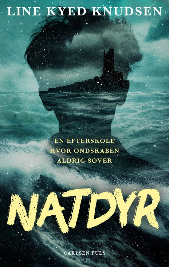 Cover for Line Kyed Knudsen · Natdyr (Bound Book) [1st edition] (2025)