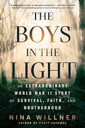 Cover for Nina Willner · The Boys In The Light (Bok) (2025)