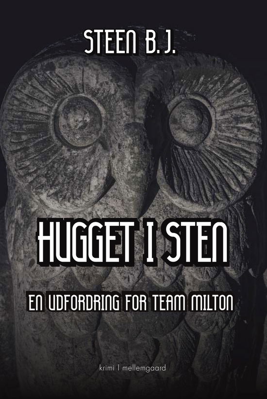 Cover for Steen B.J. · En udfordring for Team Milton: Hugget i sten (Sewn Spine Book) [1. Painos] (2025)