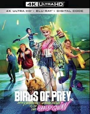 Cover for Birds of Prey (4K UHD Blu-ray) (2020)