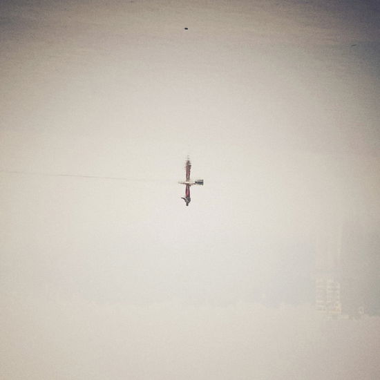 Cover for Qasim Naqvi &amp; Qasim Naqvi · Endling (LP) (2025)
