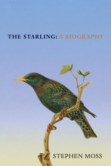 Cover for Stephen Moss · The Starling: A Biography (Innbunden bok) (2024)