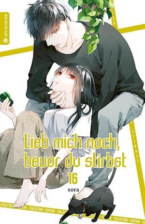 Cover for Sora · Lieb mich noch, bevor du stirbst Collectors Edition 16 (Buch) (2023)