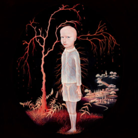 Cover for Constant Follower · The Smile You Send Out Returns To You (Pink Vinyl) (LP) (2025)