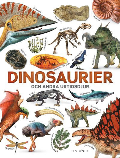 Cover for John Woodward · Dinosaurier och andra urtidsdjur (Hardcover Book) (2025)