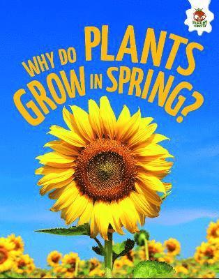 Cover for Rebecca Storm · Young Science Seekers: Why Do Plants Grow in Spring? - Young Science Seekers (Paperback Book) (2025)