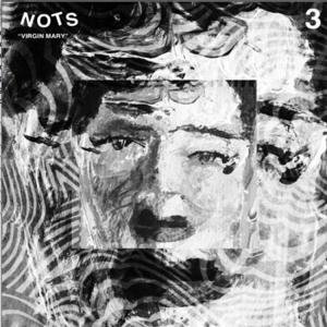 Cover for Nots · Virgin Mary (LP) (2015)