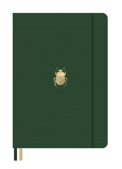 Cover for Dingbats* Notebooks · Dingbats* Pro B5 Beetle Notebook - Plain (Oracle cards) (2024)
