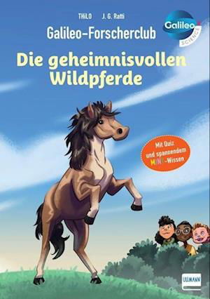 Cover for THiLO · Galileo-Forscherclub - Die geheimnisvollen Wildpferde (Bog) (2024)
