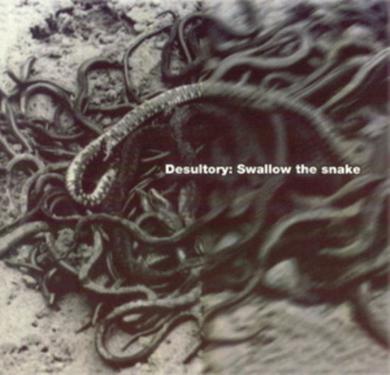 Cover for Desultory · Swallow The Snake (LP) (2025)