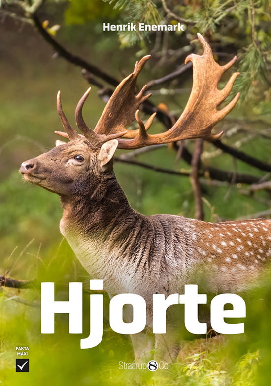 Cover for Henrik Enemark · Maxi: Hjorte (Hardcover Book) [1st edition] (2025)