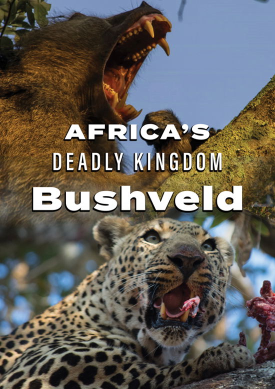 Cover for Feature Film · Africa's Deadly Kingdom: Bushveld (DVD) (2024)