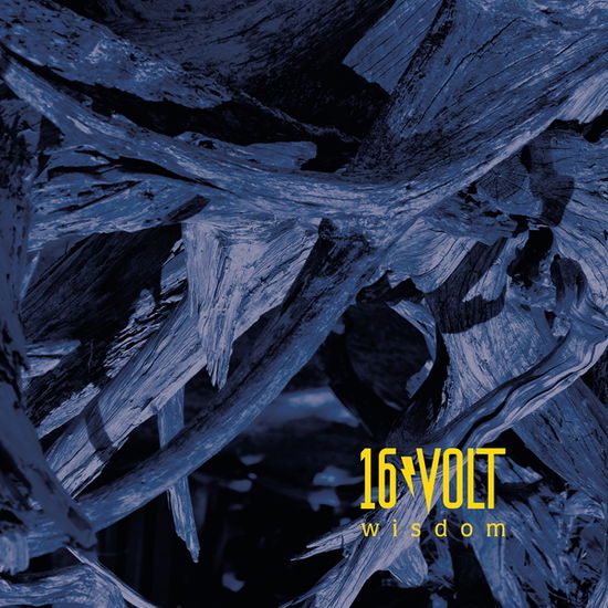 Cover for 16volt · Wisdom [limited Edition Yellow Vinyl] (LP) (2025)