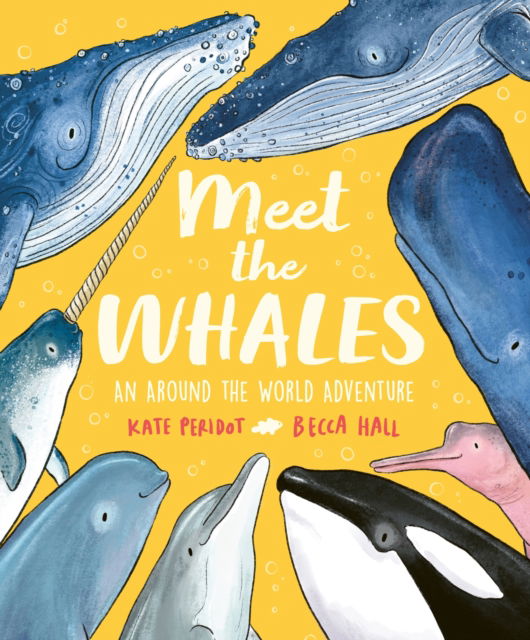 Cover for Kate Peridot · Meet the Whales - Meet The… (Taschenbuch) (2026)