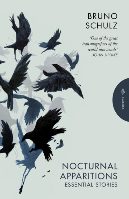 Cover for Bruno Schulz · Nocturnal Apparitions: Essential Stories (Paperback Book) (2025)