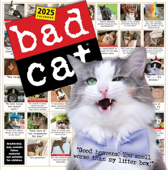 Harry Prichett · Bad Cat Wall Calendar 2025: Celebrating the Misfits of the Feline World (Calendar) (2024)
