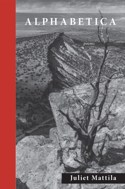Cover for Juliet Mattila · Alphabetica (Hardcover Book) (2025)