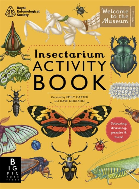 Cover for Dave Goulson · Insectarium Activity Book (Taschenbuch) (2025)