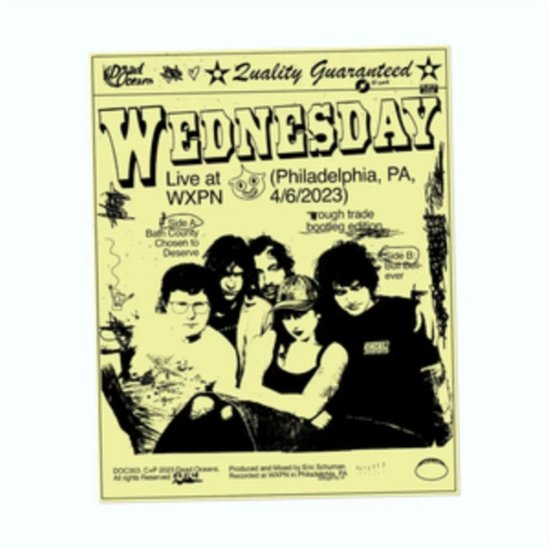 Cover for Wednesday · Live At Wxpn (Philadelphia. Pa. 4/6/2023) (Pink Vinyl) (LP) (2024)