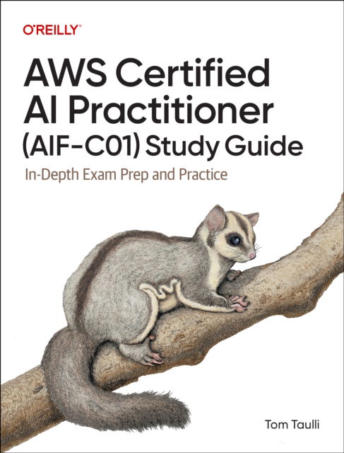 Cover for Tom Taulli · AWS Certified AI Practitioner Study Guide: In-Depth Exam Prep and Practice (Paperback Book) (2025)