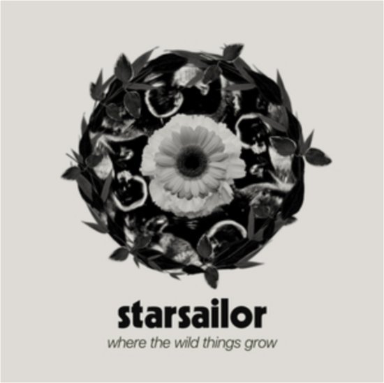 Cover for Starsailor · Where The Wild Things Grow (CD) (2024)