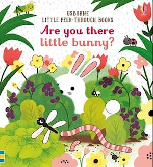Cover for Sam Taplin · Are You There Little Bunny (Book) (2025)