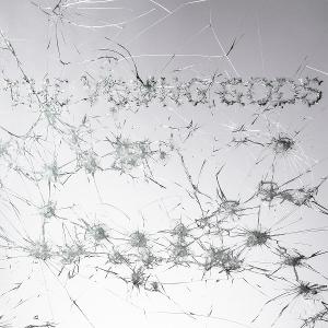 Cover for Young Gods · Appear Disappear (CD) (2025)