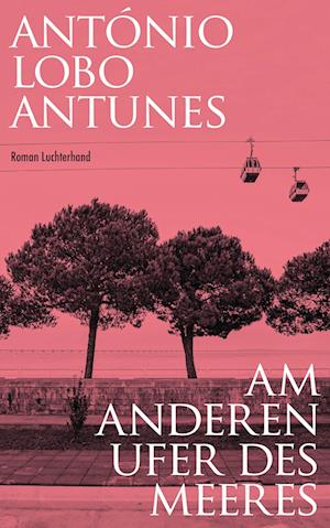 Cover for António Lobo Antunes · Am anderen Ufer des Meeres (Book) (2024)