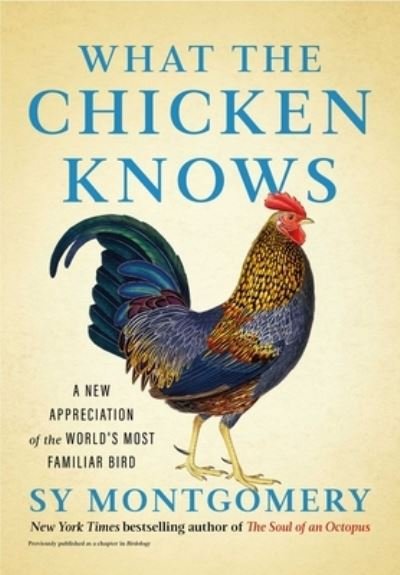 Cover for Sy Montgomery · What the Chicken Knows: A New Appreciation of the World's Most Familiar Bird (Innbunden bok) (2024)