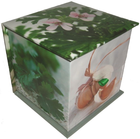 Cover for Peony Press · Memo Block: Herbs (Print) (2015)