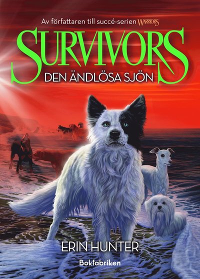 Cover for Erin Hunter · Den ändlösa sjön (Hardcover Book) (2025)