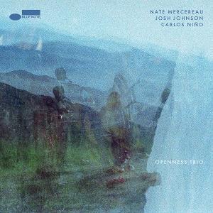 Cover for Nate Mercereau, Josh Johnson, Carlos Niño · Openness Trio (LP) (2025)