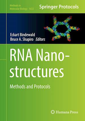 Cover for RNA Nanostructures (Book) [1st ed. 2017 edition] (2017)