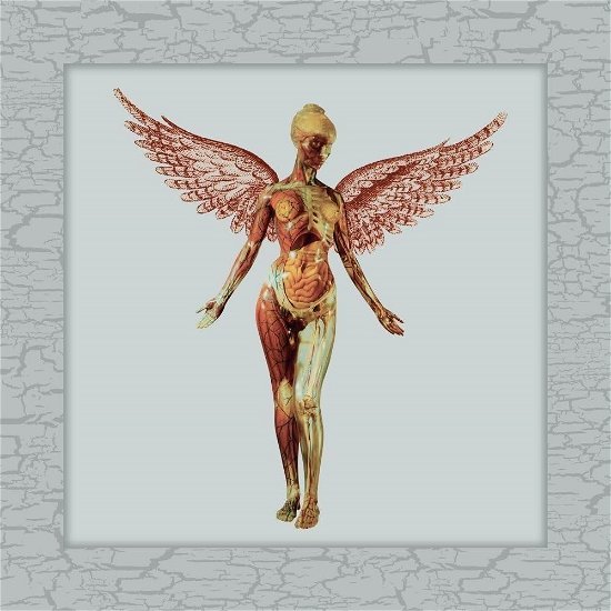 Cover for Nirvana · In Utero (CD) [Japan Import edition] (2023)