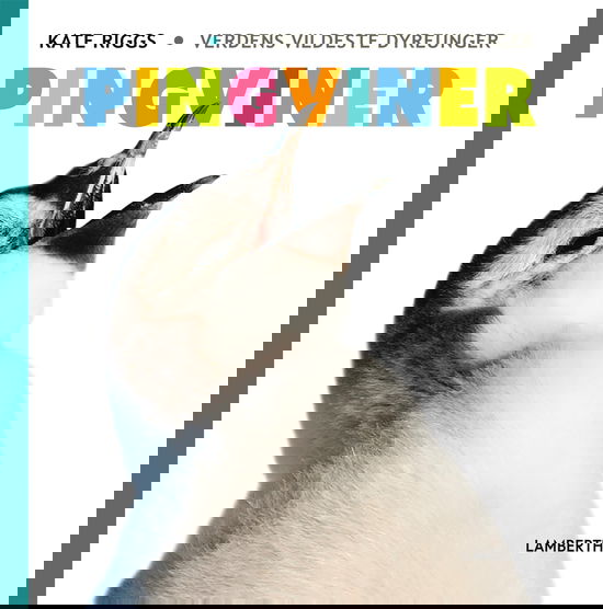 Cover for Kate Riggs · Verdens vildeste dyreunger: Pingviner (Bound Book) (2025)