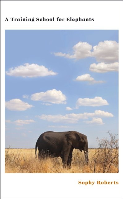 Cover for Sophy Roberts · A Training School for Elephants (Gebundenes Buch) (2025)